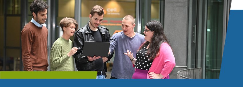Program Overview A diverse team engaged in discussion while viewing a laptop screen in an office setting.