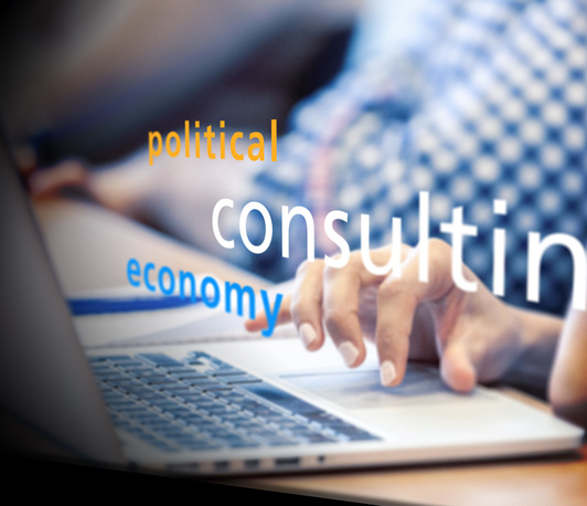 Political Economy of Consulting