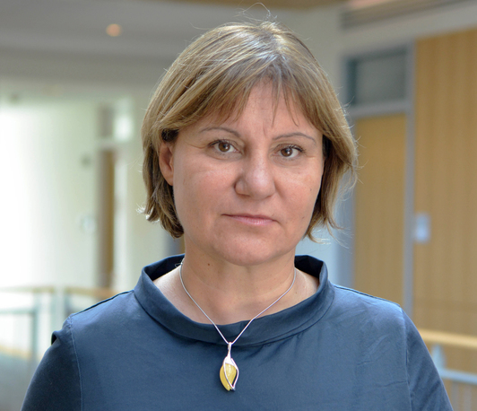 How Mainstream Parties Fight Back Against Extremists: Explaining the Choice Among Strategies of Democratic Defense Portrait photo of Isabela Mares